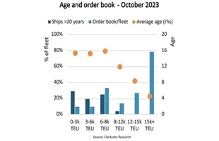 集裝箱船平均船齡達(dá)14.2年，21%超過(guò)20年！